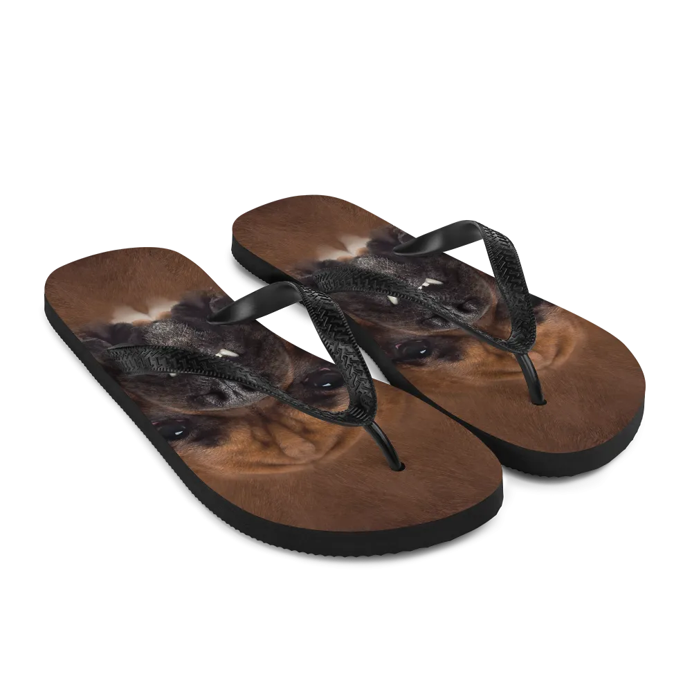 Boxer Dog Flip-Flops